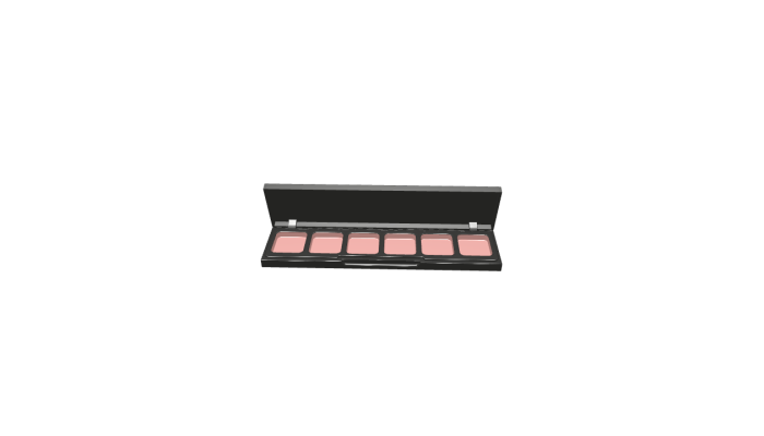 Long Rectangular Cosmetic Palette